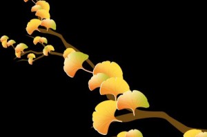 小米8.2系统（探索小米8.2系统的众多特色功能和优势）