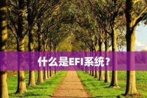 EFI启动教程（探索EFI启动的核心知识，学会正确配置EFI引导，实现系统快速启动）