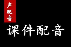 教程（让你的PPT更生动有趣，加入讲解声音吸引观众的注意力）
