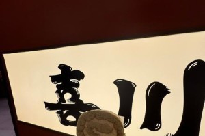 欧奇手机P2的性能与使用体验如何？（一款性价比较高的手机产品）
