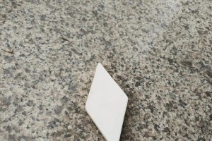 利用OPPOR9进行文件加密的实用指南（了解如何安全地保护个人文件和信息）