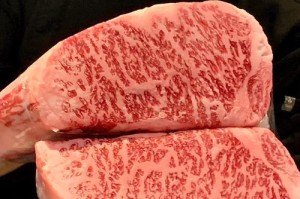 欧奇P6大黑牛的震撼表现（颠覆体验，超乎想象）