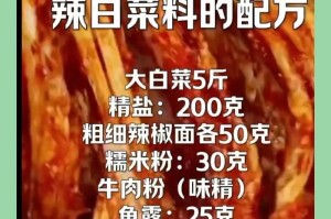 大白菜装机系统5.2教程（让你的电脑运行如飞，大白菜装机系统5.2带你玩转技术新时代）