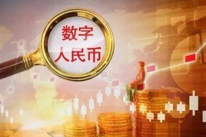 人民数字（数字技术的崛起与人民生活的变革）