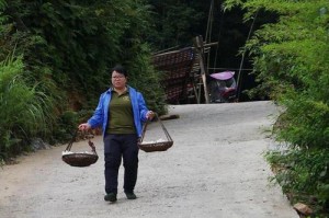 以村村乐村官，助推（重塑农村生活，实现美好未来）