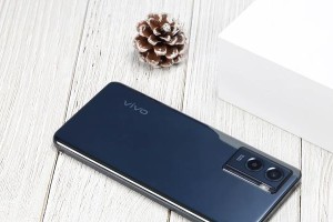 VivoY554G（性能卓越，价格亲民，VivoY554G给你带来全新体验）