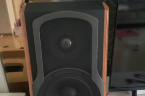 漫步者音响的音质和性能如何？（解析漫步者音响的关键特点和用户体验）