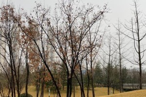 2023年最佳手机拍照推荐（全面升级的摄影体验，让你的照片更出众！）