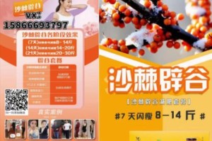 以极享微商怎么样？实测结果揭秘！（从极享微商的发展模式到用户体验，一网打尽！）