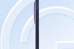 红米电信版手机的性能及用户体验（详解红米电信版手机的优势和不足）