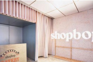 跨界店铺的商品优势与挑战（深入探究跨界店铺中的货品多样性和消费者需求）
