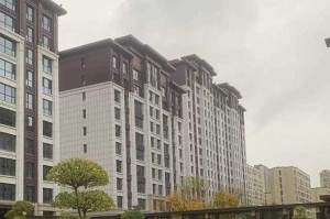 探索龙泰版苹果的独特魅力（颠覆传统的创新科技体验）