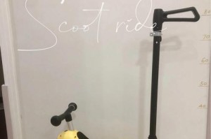 Scoot（通过创新和优质服务打造舒适的旅行体验）