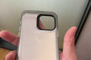 苹果VSvivo（探索苹果和vivo手机拍照功能的差异与优势）